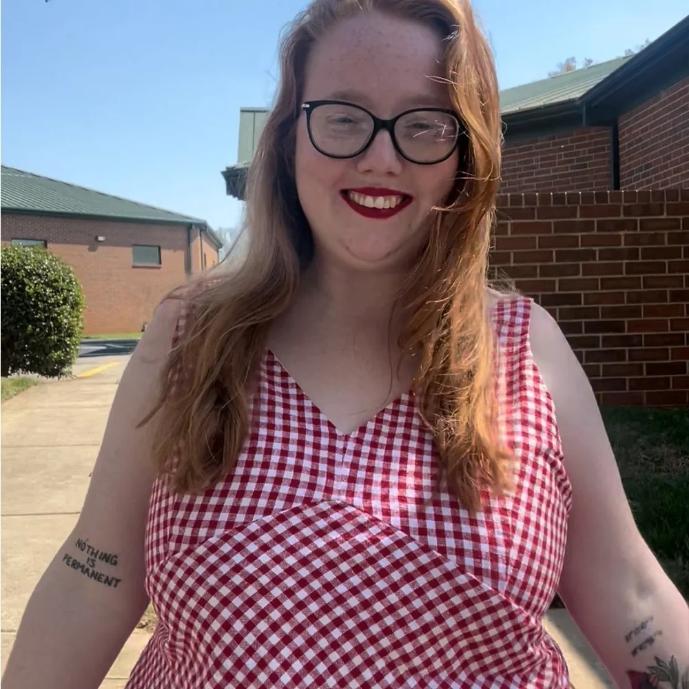Abercrombie & Fitch Red and White Gingham V-Neck Dress - Picture 5 of 5